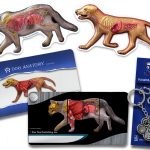 Dog and Cat Pocket Chart by Blue Tree Publishing 36 Page A5 Set-0