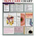 Ciao Bella Skin Care Chart 2 Sided Laminated Quick Reference Guide SCC-0