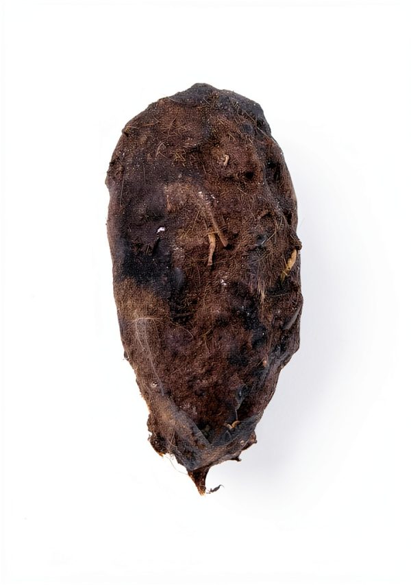 Owl Pellets (Set of 10 with Bone Chart)-2