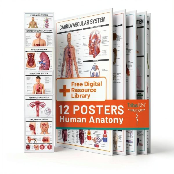Human Anatomy Posters Tribe RN 12 Laminated 18x24 Charts-0