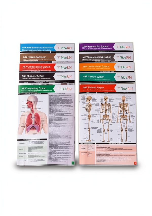 TribeRN Anatomy & Physiology Study Guides - Set of 10 Human Anatomy Guides for Nursing Students, School, College, Medical Professions - 12 Topics on Body Systems w/ Reference Charts & Terminology-2