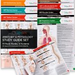 TribeRN Anatomy & Physiology Study Guides - Set of 10 Human Anatomy Guides for Nursing Students, School, College, Medical Professions - 12 Topics on Body Systems w/ Reference Charts & Terminology-0