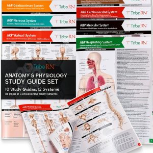 TribeRN Anatomy & Physiology Study Guides - Set of 10 Human Anatomy Guides for Nursing Students, School, College, Medical Professions - 12 Topics on Body Systems w/ Reference Charts & Terminology-0
