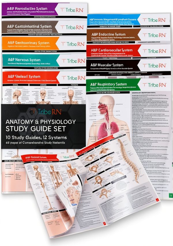 TribeRN Anatomy & Physiology Study Guides - Set of 10 Human Anatomy Guides for Nursing Students, School, College, Medical Professions - 12 Topics on Body Systems w/ Reference Charts & Terminology-0