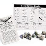 Owl Pellets (Set of 10 with Bone Chart)-0