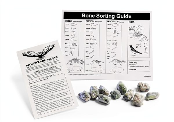 Owl Pellets (Set of 10 with Bone Chart)-0